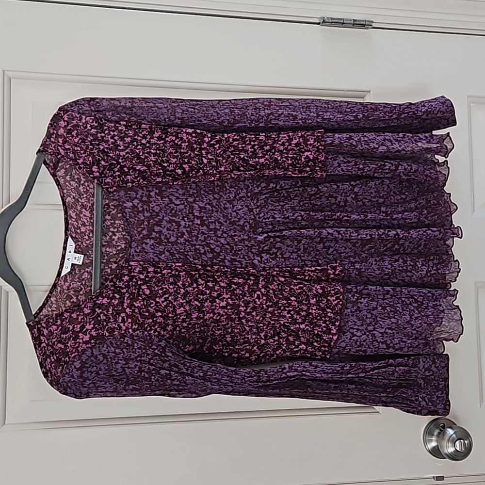 Sheer CAbi blouse